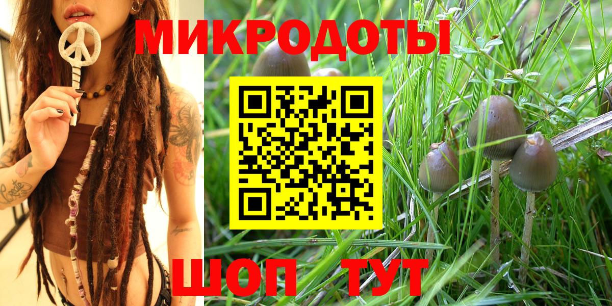 Галлюциногенные грибы ЛСД Семилуки