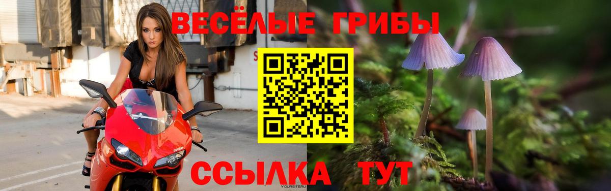 Семилуки  Галлюциногенные грибы мухоморы  Вход с VPN  Псилоцибиновые грибы прущие грибы 